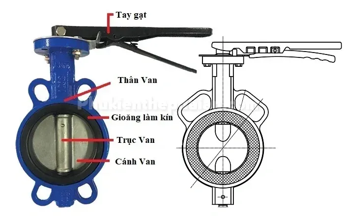 cau-tao-van-buom-tay-gat