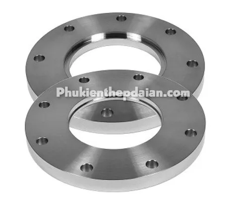 bich-thep-rong-dn100